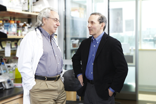Dr. Bernard Zinman and Dr. Daniel J. Drucker